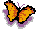 un papillon